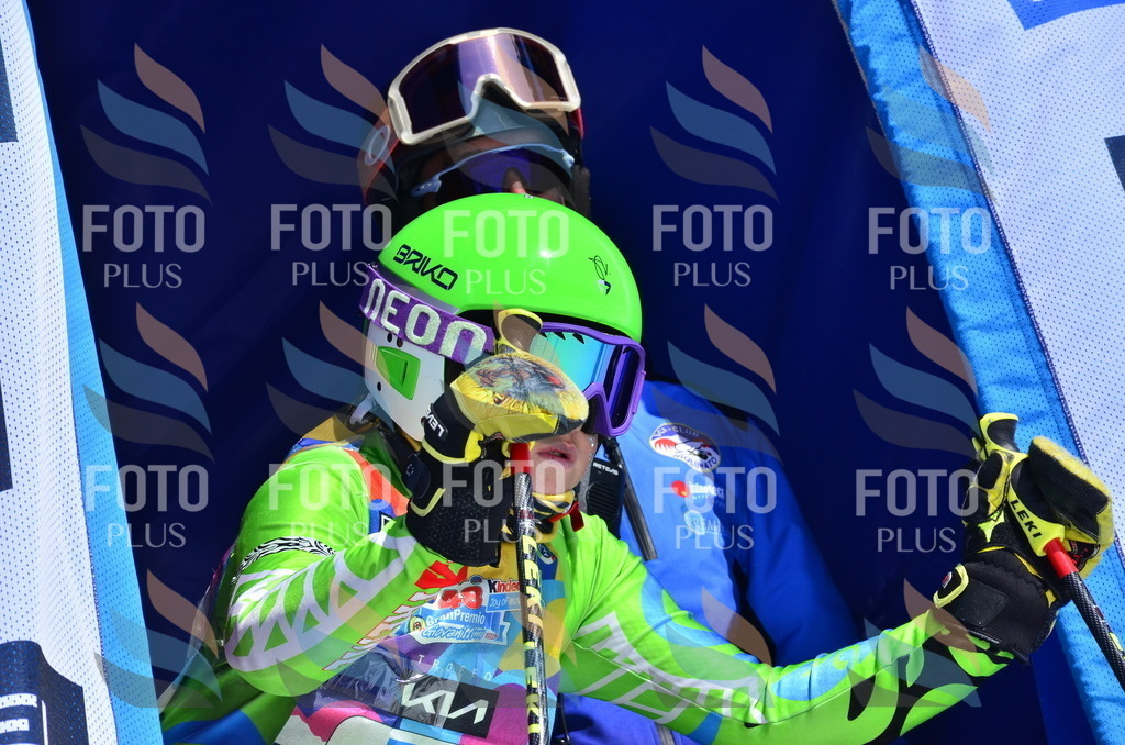 _ELE0376 | holidayphoto