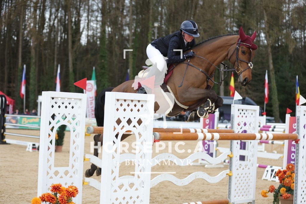 0P6A4961 | Willkommen bei Brunnmayr - Design & Fotografie – Ihrem Spezialisten für Reitturniere und Pferdeveranstaltungen in Oberösterreich, Salzburg und Bayern! Seit über 17 Jahren sind wir leidenschaftlich dabei.