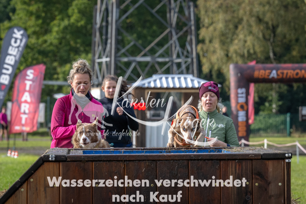 1419-94705 | kk-dogfotos