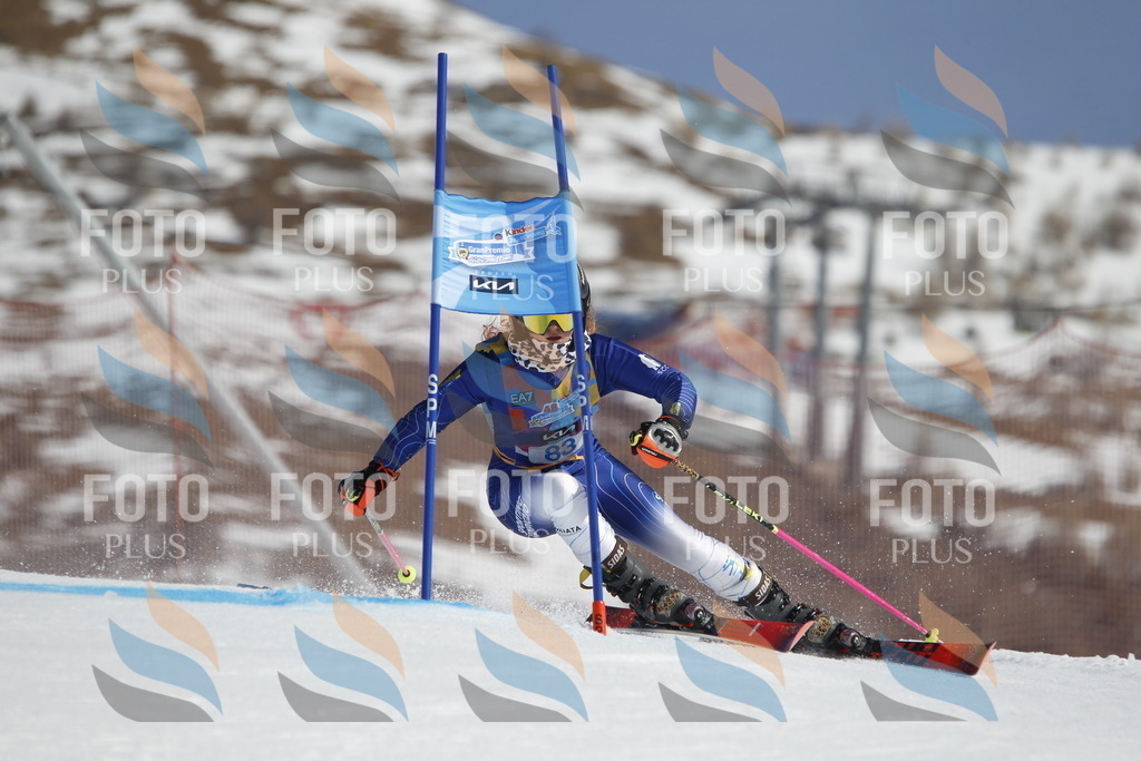 _U3G0047 | holidayphoto