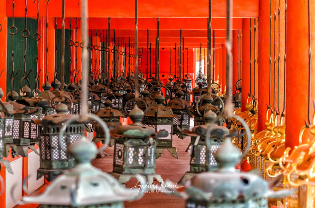 Japanische Laternen | Andre Wandrei - Nature Artworx - Realisiert mit Pictrs.com