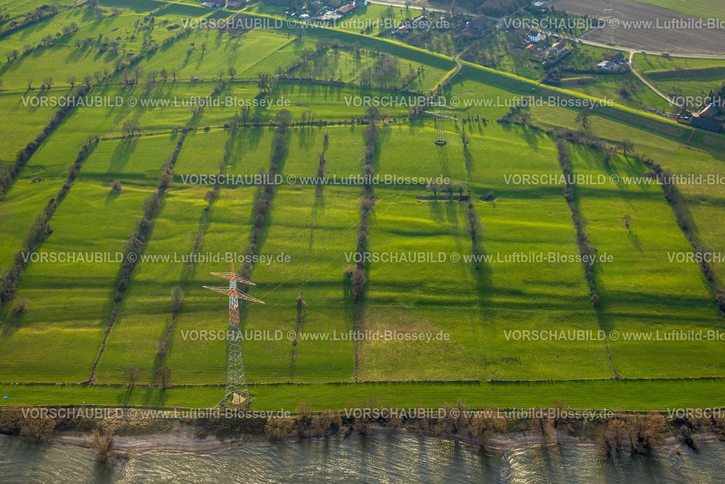 Duisburg230101152 | Luftbild, Rheinaue Binsheim, Muster von Bäumen, Baerl, Duisburg, Ruhrgebiet, Nordrhein-Westfalen, Deutschland