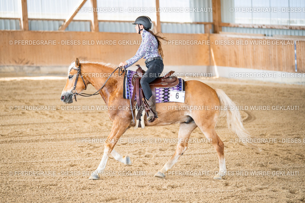 DSC02510 | Pferdegrafie