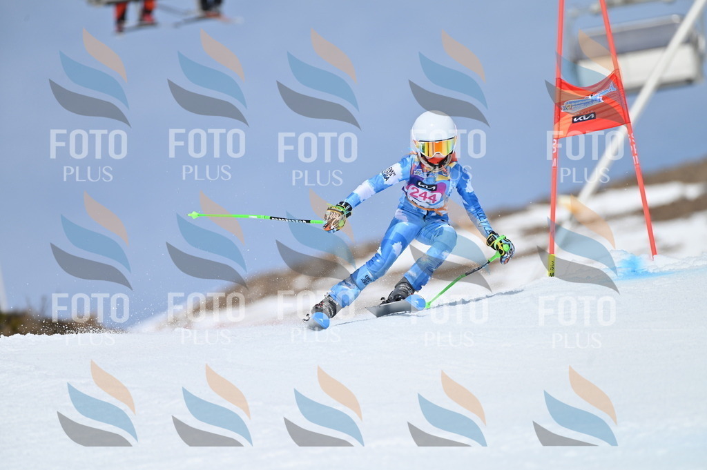 BGV_1767 | holidayphoto