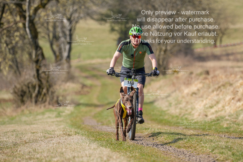 Bike_Lang-91 | stephaniefillaphotographie - Realisiert mit Pictrs.com