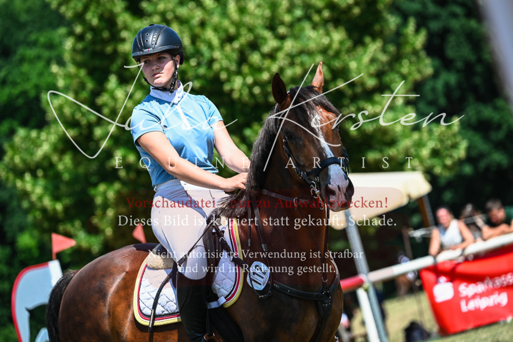 DSC_0933 | Pferde- und Turnierfotografie in Westsachsen. Pferdeportraits, Auftragszeichnungen und intuitive Kunst.