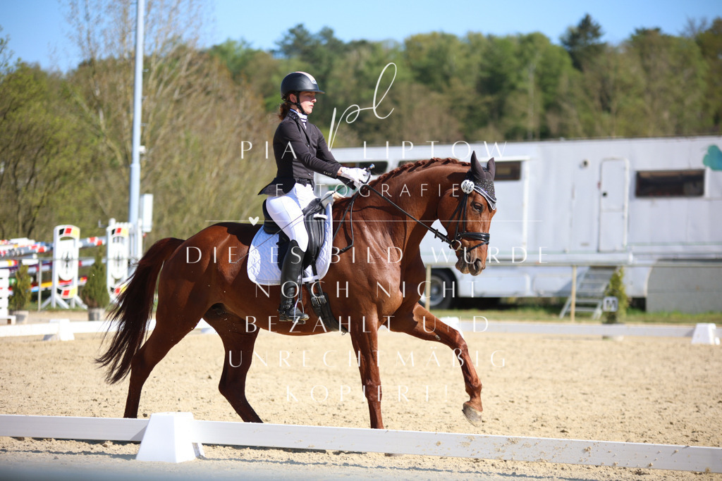 IMGT8706 | pl-fotografie