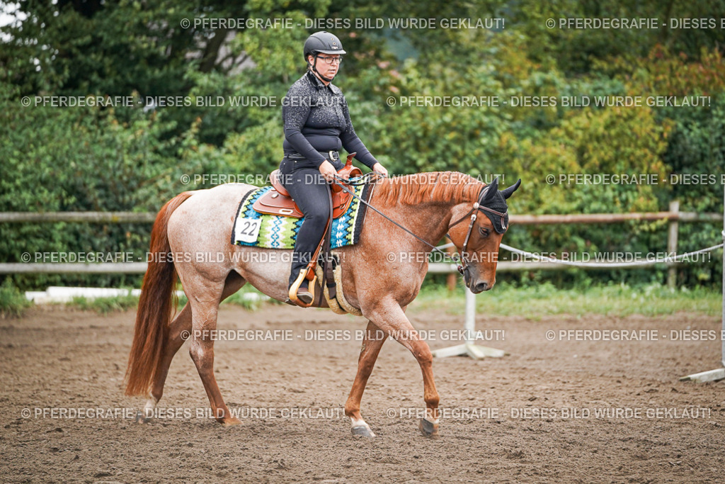 DSC01765 | Pferdegrafie