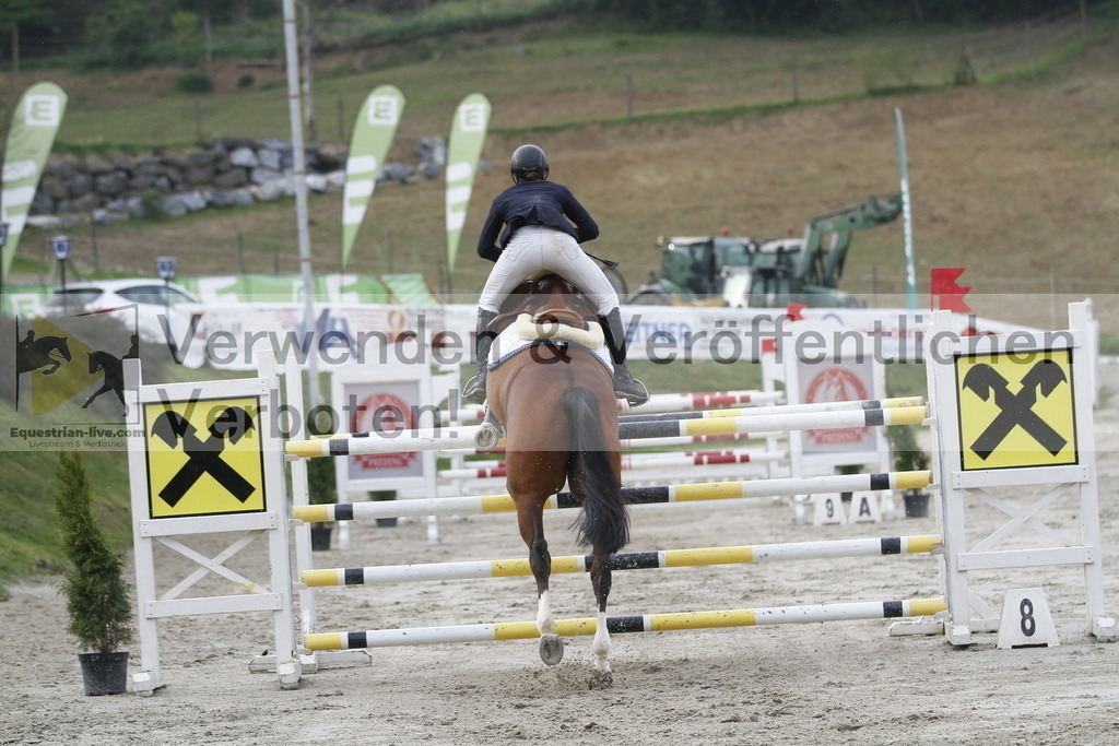 _MG_3450 | equestrian-live-com