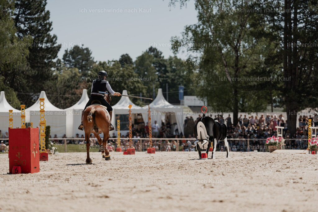 WE_SP_Stoib_323_PI2025_1904 | Pferd International München 2025