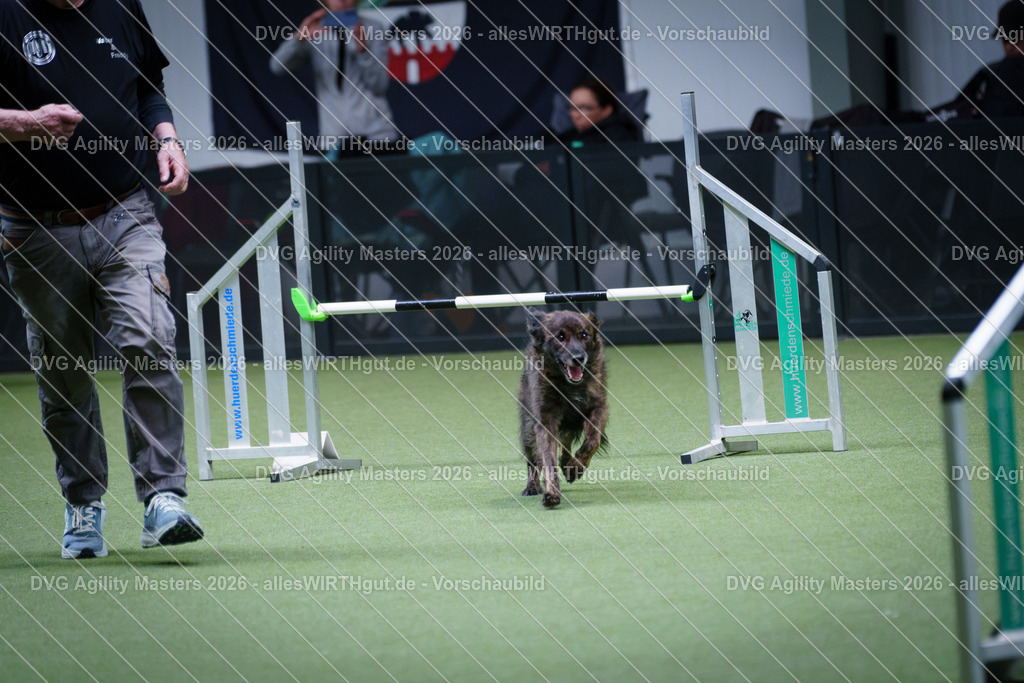 allesWIRTHgut_Tierfotografie-DVG_Agility_Masters_2026-12_37-7R502643 | Professionelle Tierfotografie in Mönchengladbach von Daniel Wirth (allesWIRTHgut). Liebevolle & natürliche Bilder von Hunden & Katzen für unvergessliche Erinnerungen.