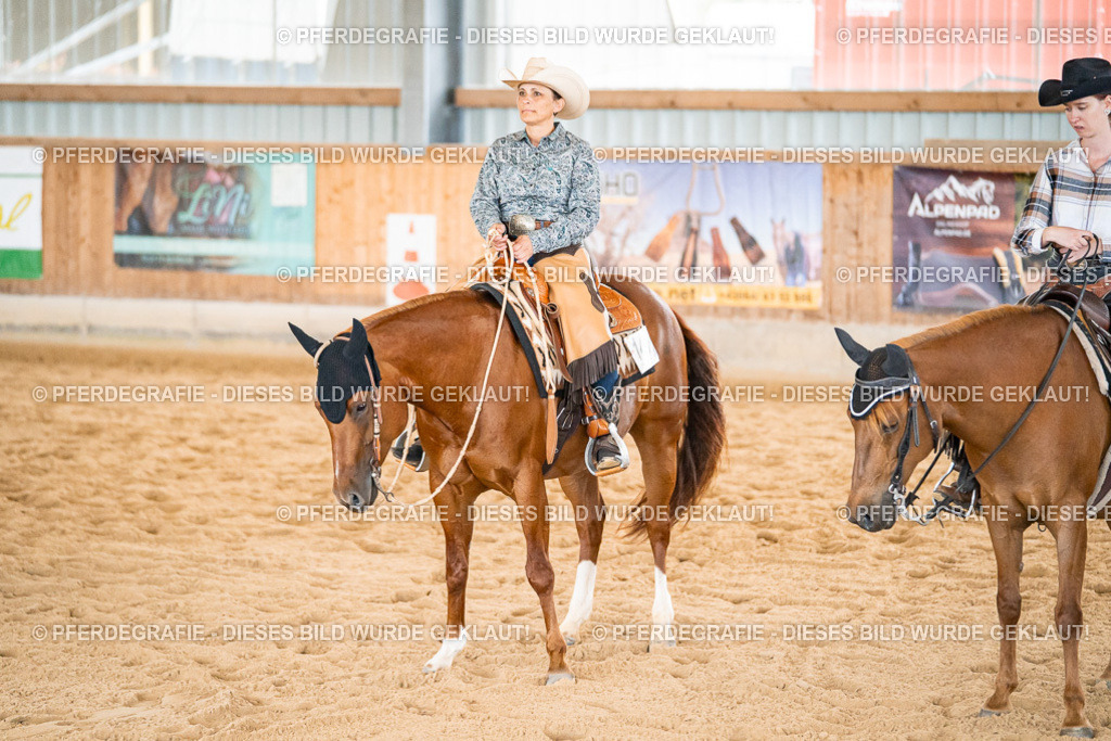 DSC00795 | Pferdegrafie