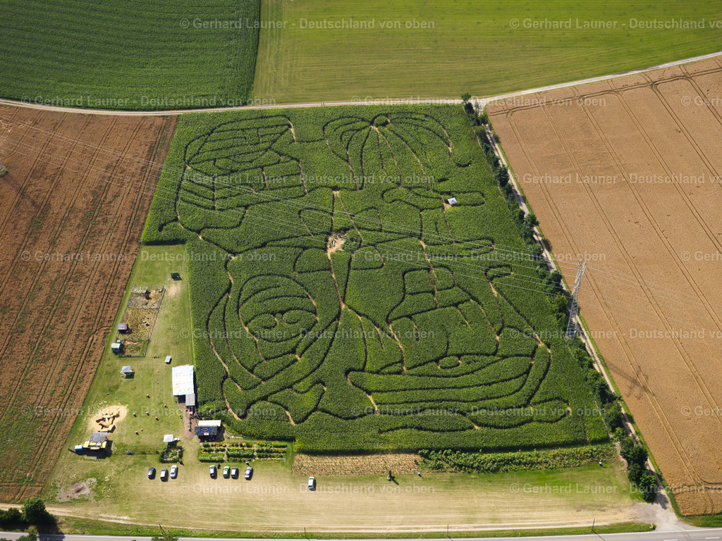 2819384 | Maislabyrinth bei Rexingen