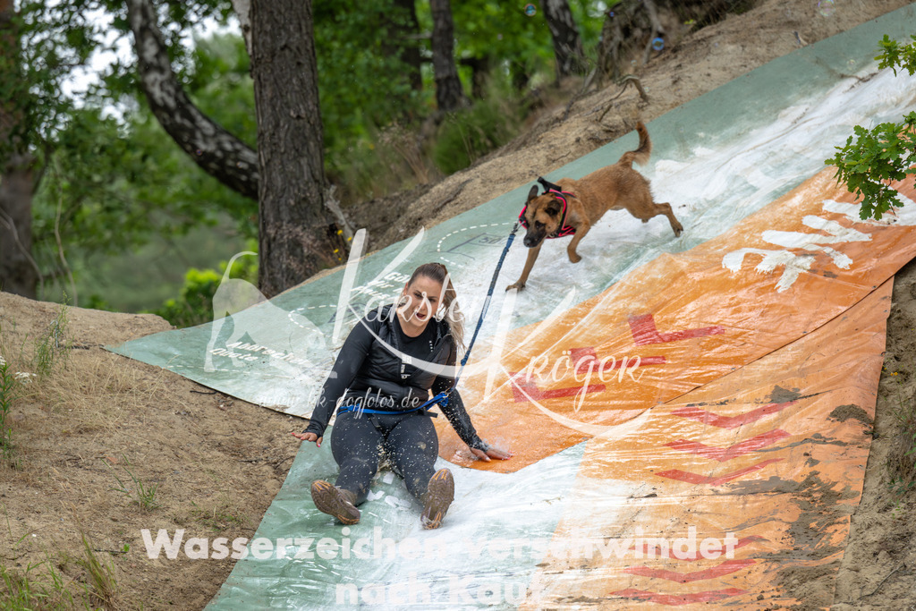 0952_ZZ91329-Verbessert-RR | kk-dogfotos