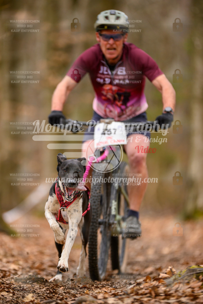 MompixPhotography_Habay2025_SA_Bike-22 | mompixphotography