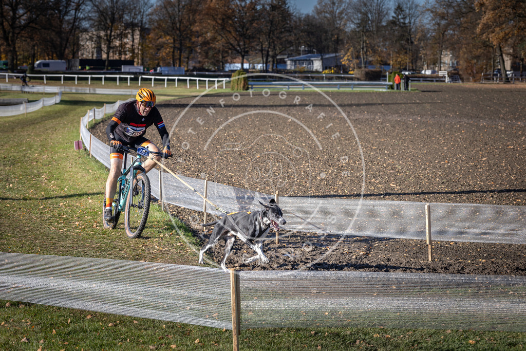 CaniXpix_DV3A5657 | Hundefotografie, Tierfotograf, Pfotenfotografie, Fotoshooting Hund, Hunde Portrait, Hundesport, Hundeportraits, Heideshooting, Hunde, Sportfotograf, Hundefotograf, Turnierhundsport, THS,  - Realisiert mit Pictrs.com