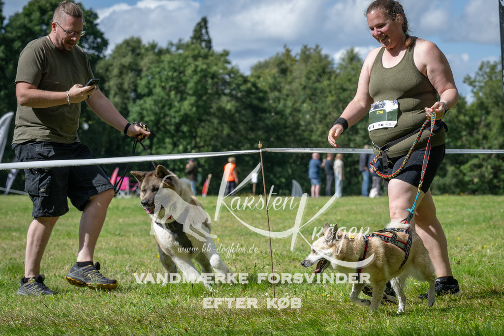 1540_ZZ93688 | kk-dogfotos