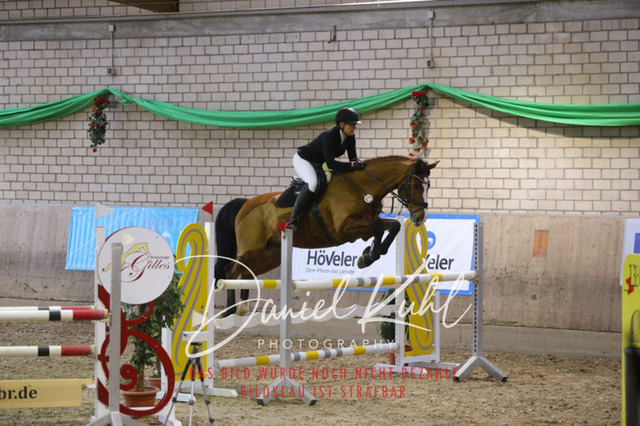 IMG_0899 | Turnierfotos kaufen im Webshop von Daniel Kuhl Photography – entdecke professionelle Reitsportfotos aus Turnieren & Events. Hochwertige Turnierbilder online bestellen & sichern. Jetzt Fotos von Reitsportturnieren kaufen!