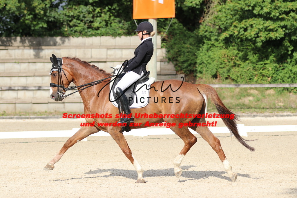 IMG_6295 | lmwpictures - Realisiert mit Pictrs.com