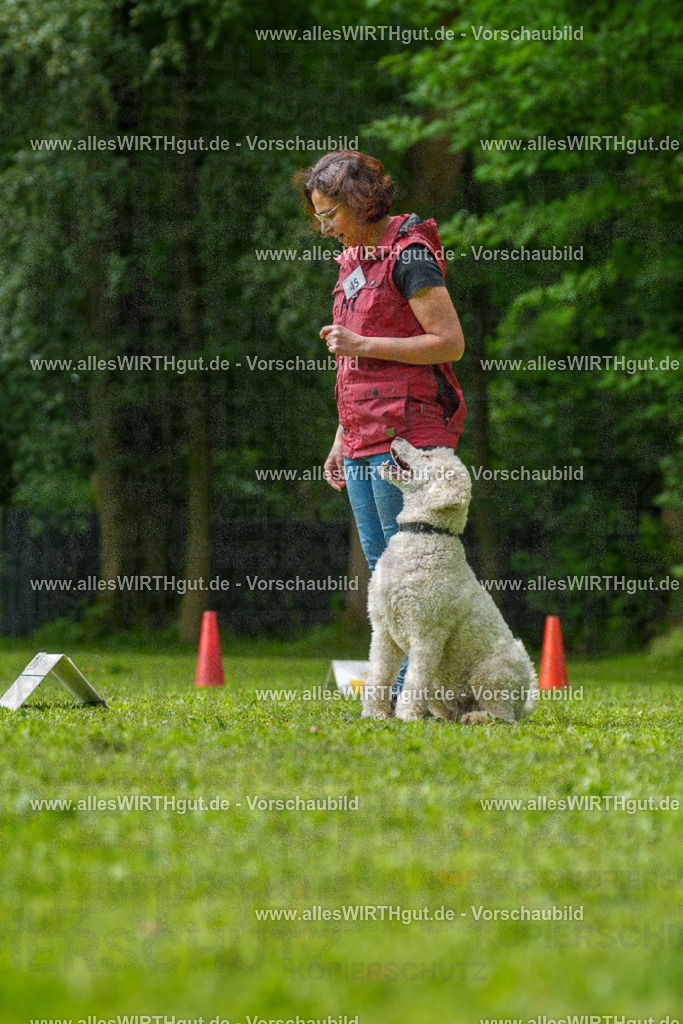 @allesWIRTHgut_Tierfotografie - www.allesWIRTHgut.de - 7R505190 | Professionelle Tierfotografie in Mönchengladbach von Daniel Wirth (allesWIRTHgut). Liebevolle & natürliche Bilder von Hunden & Katzen für unvergessliche Erinnerungen.