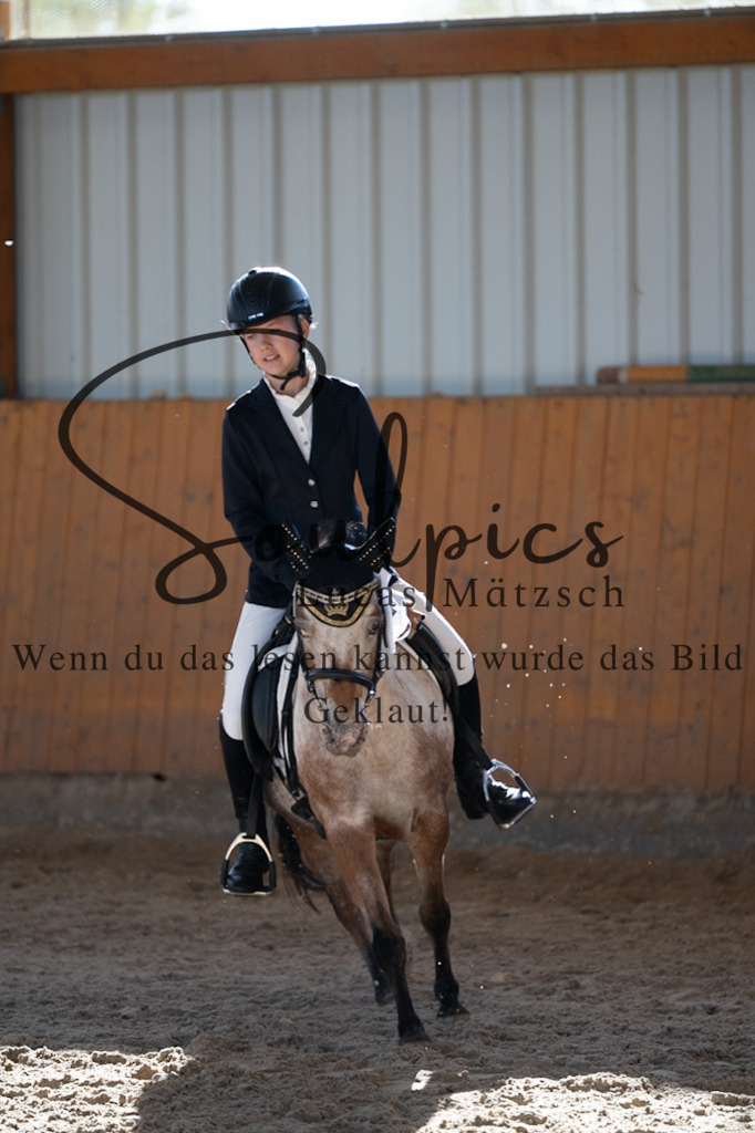 A7V01827 | Turnier/Reitfotograf