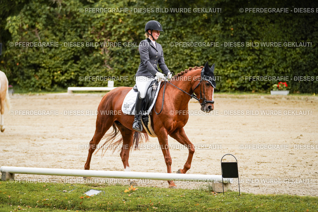 DSC08518 | Pferdegrafie