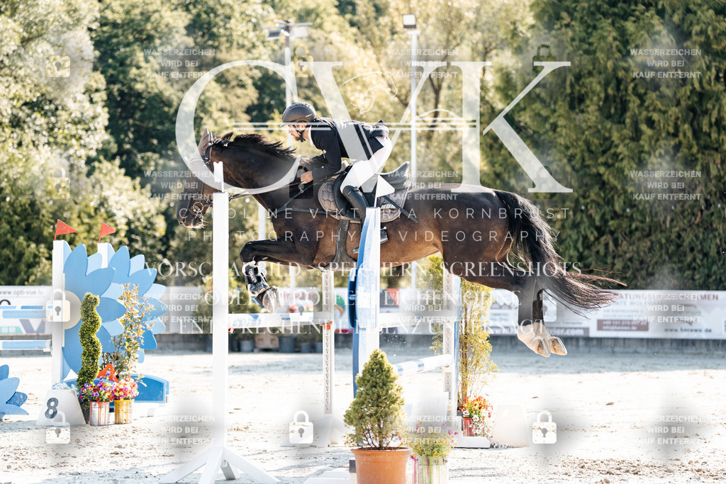 CK901919 | Turnierfotografie Pferdefotografie Trier Rheinland-Pfalz Pferdesport Reitsport Tierfotografie Sportfotografie Pferdevideo Pferdevideografie Equestrianvideography equestrianphotography  - Realisiert mit Pictrs.com