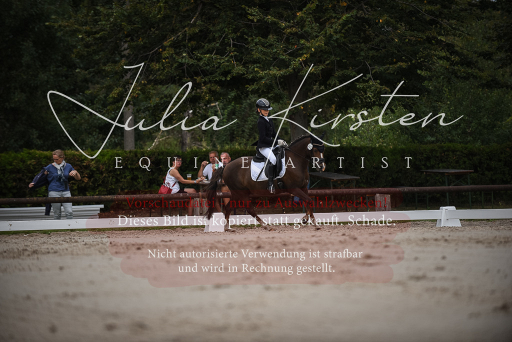 DSC_8141 | Pferde- und Turnierfotografie in Westsachsen. Pferdeportraits, Auftragszeichnungen und intuitive Kunst.