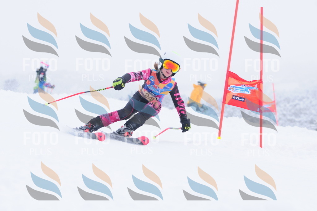 C2520 | holidayphoto