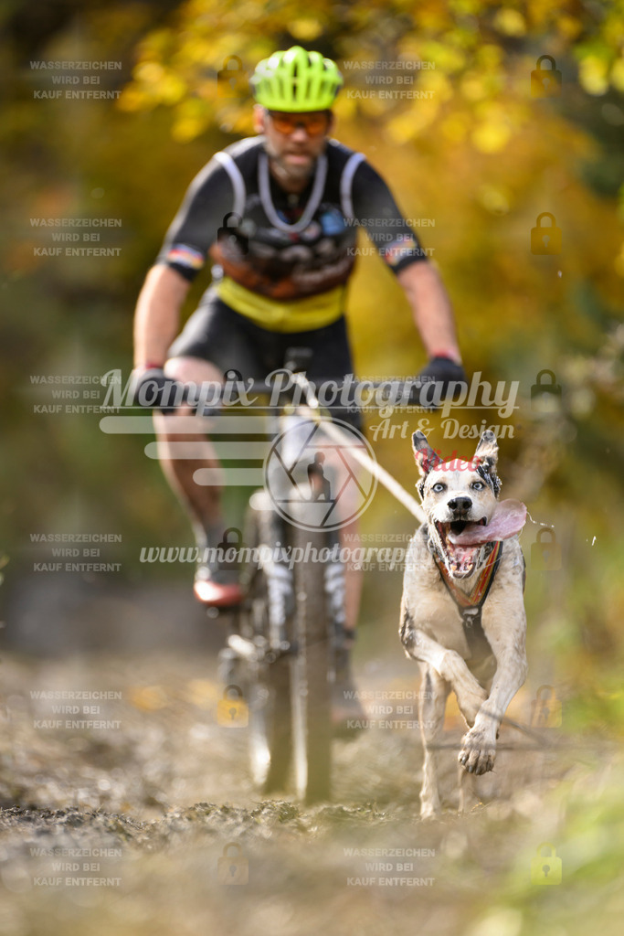 MompixPhotography_ICF_WC_2024_SA_Bike_-324 | PayLife