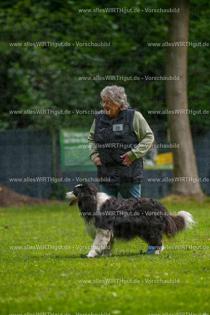 @allesWIRTHgut_Tierfotografie - www.allesWIRTHgut.de - 094019-7R507497 | Professionelle Tierfotografie in Mönchengladbach von Daniel Wirth (allesWIRTHgut). Liebevolle & natürliche Bilder von Hunden & Katzen für unvergessliche Erinnerungen.