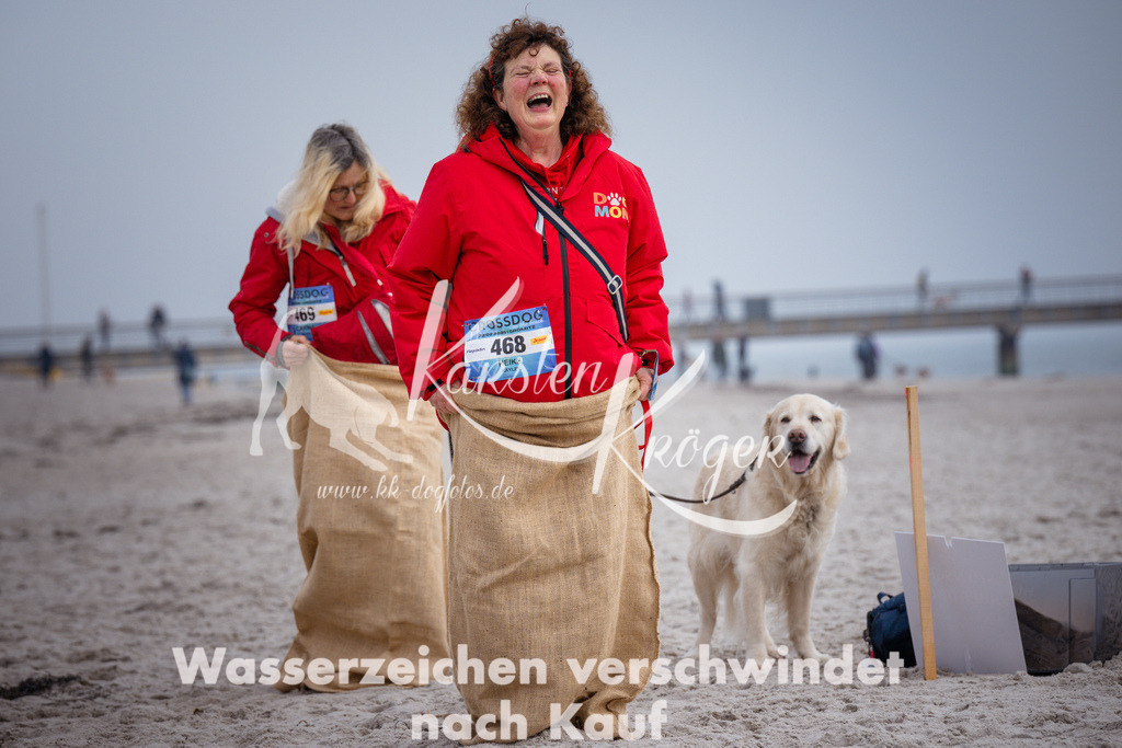 1155_ZZ91322 | kk-dogfotos