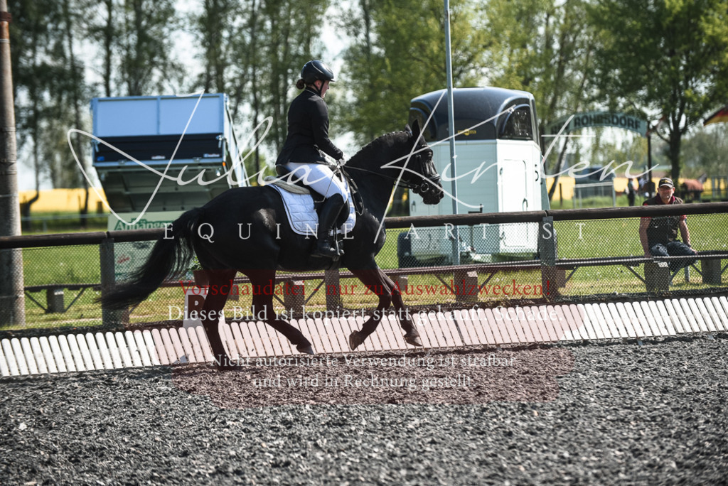 DSC_8820 | Pferde- und Turnierfotografie in Westsachsen. Pferdeportraits, Auftragszeichnungen und intuitive Kunst.