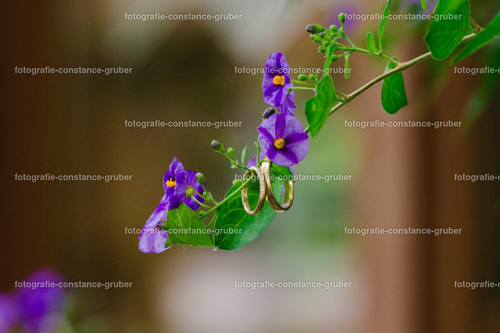 1012 | Fotografie Constance Gruber - Realisiert mit Pictrs.com