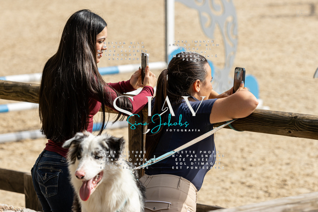 IMG_4470 | s-jay-photography - Realisiert mit Pictrs.com