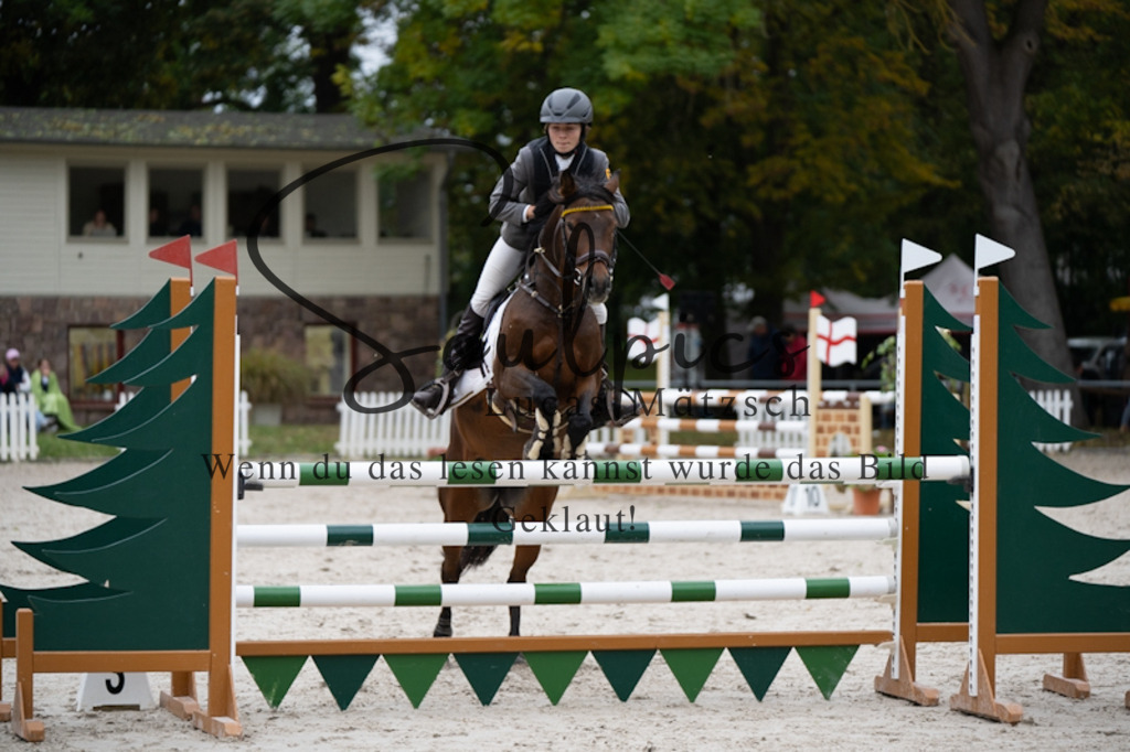 A7V09912 | Turnier/Reitfotograf
