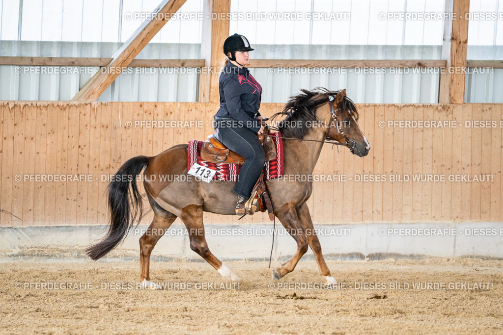 DSC09223 | Pferdegrafie