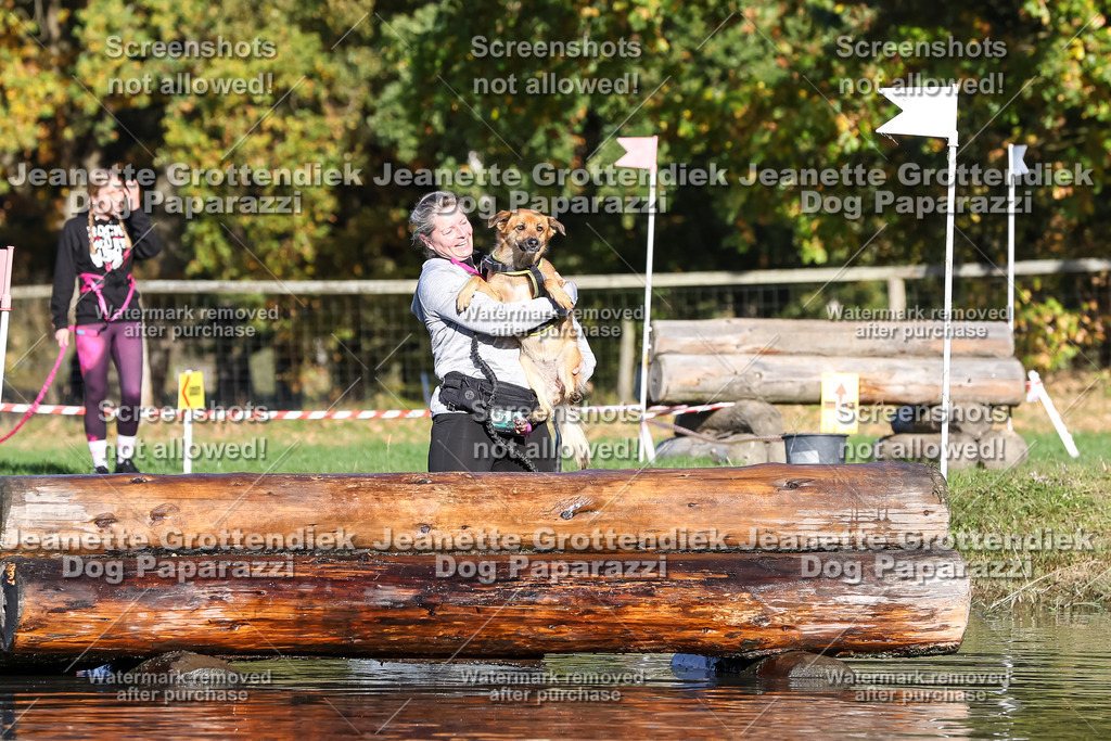 Dog Paparazzi - Strongdog 10-25-8745 | Dog Paparazzi Jeanette Grottendiek Fotografie & Videografie - Realisiert mit Pictrs.com