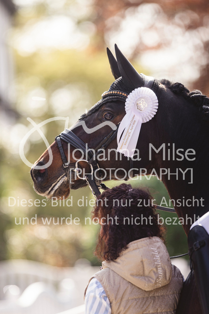 260411_Kronberg_Impressionen-206 | Deine schönsten Turniermomente als professionelle Fotos! Entdecke hochwertige Pferdesport-Fotografie im Online-Shop. Jetzt Fotos finden & bestellen!