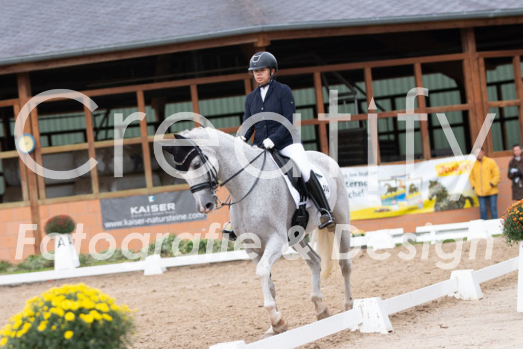 IMG_7364 | Creatify Fotografie