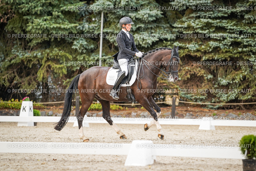 DSC08976 | Pferdegrafie