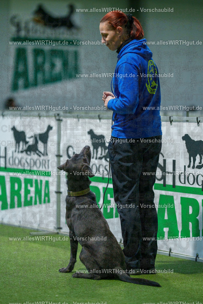 7R506992 | Professionelle Tierfotografie in Mönchengladbach von Daniel Wirth (allesWIRTHgut). Liebevolle & natürliche Bilder von Hunden & Katzen für unvergessliche Erinnerungen.