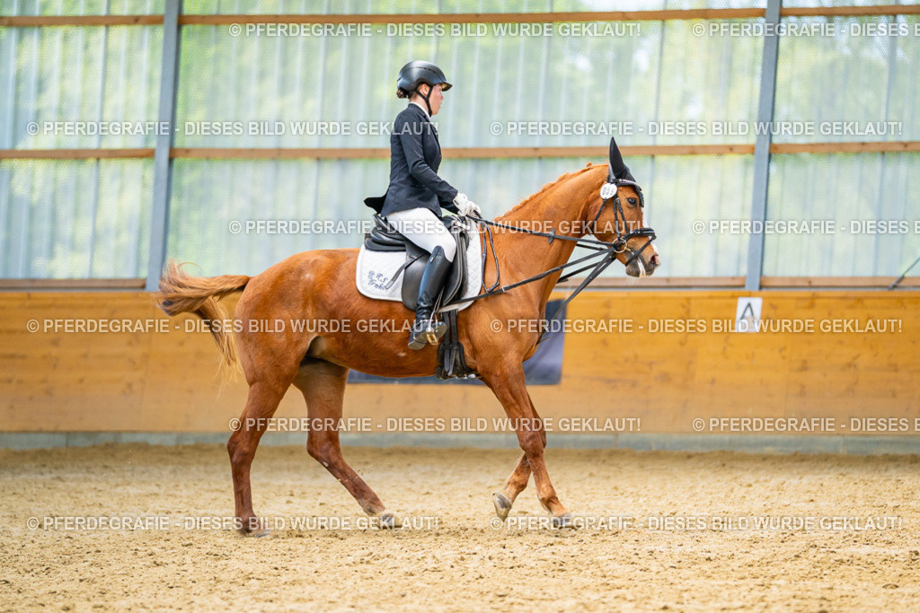 DSC08540 | Pferdegrafie