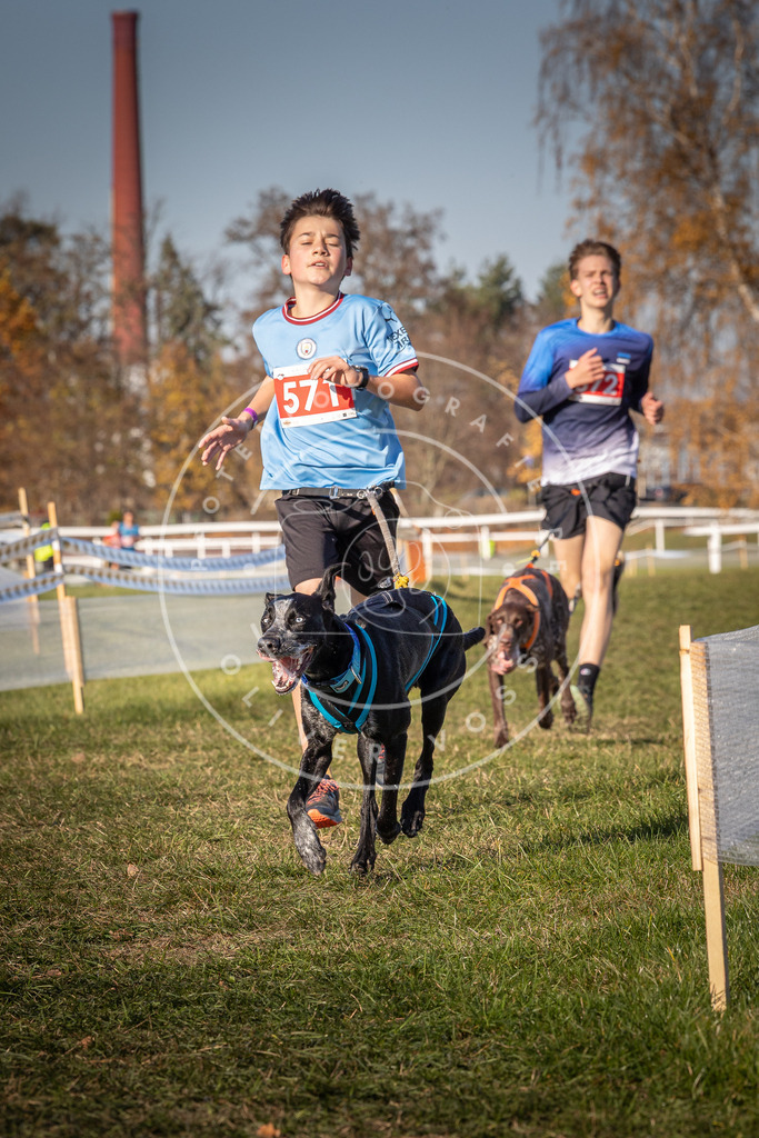 CaniXpix_0L8A8051 | Hundefotografie, Tierfotograf, Pfotenfotografie, Fotoshooting Hund, Hunde Portrait, Hundesport, Hundeportraits, Heideshooting, Hunde, Sportfotograf, Hundefotograf, Turnierhundsport, THS,  - Realisiert mit Pictrs.com