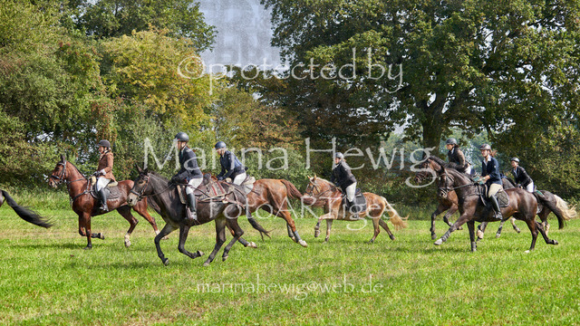 09-23 Jagd Perdöl_MCH0183_Marina Hewig | Fotografie, FotoArt, PferdesportArt, Pferdesportfotografie, Landschaftsfotografie, Reisefotografie, Reise, Pferde - Realisiert mit Pictrs.com