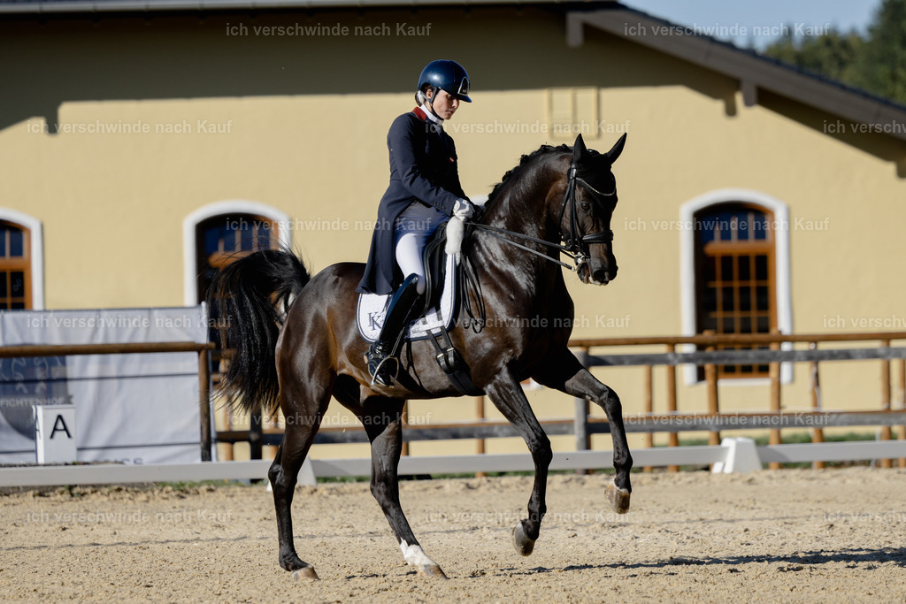 FHC2026_P09_95_18869 | Fichtenhof Classics 2026 – Grand Prix de Dressage - VOLTAIRE Design Preis, Reitanlage Fichtenhof, Sch ftlarn