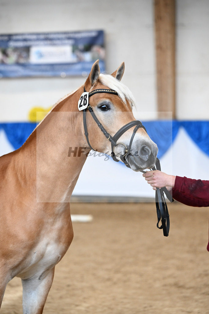 Kat-Nr. 28 nn v. Nio_Kirchberger_48251076 | hf-fotografie - Realisiert mit Pictrs.com