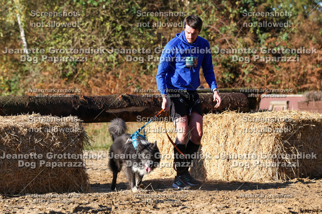 Dog Paparazzi - Strongdog 10-25-1367 | Dog Paparazzi Jeanette Grottendiek Fotografie & Videografie - Realisiert mit Pictrs.com