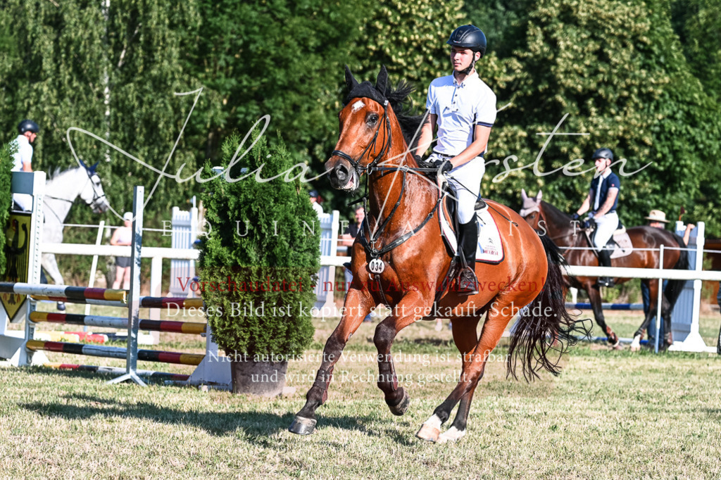 DSC_2665 | Pferde- und Turnierfotografie in Westsachsen. Pferdeportraits, Auftragszeichnungen und intuitive Kunst.