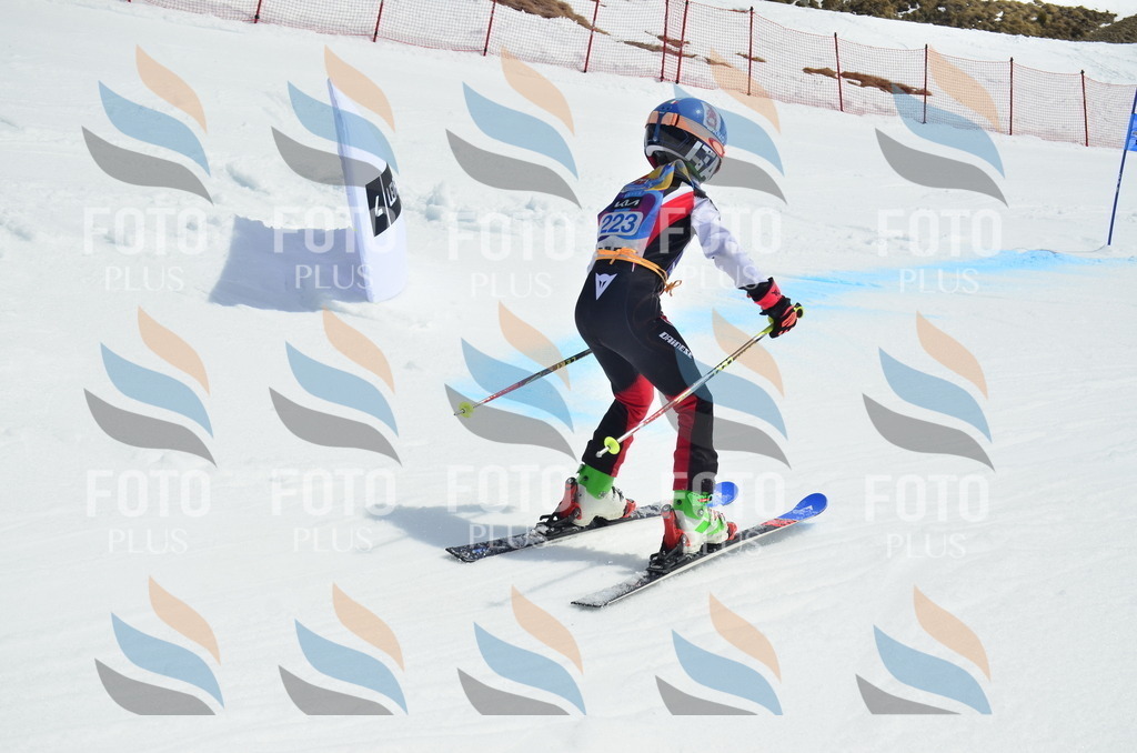 _ELE1578 | holidayphoto